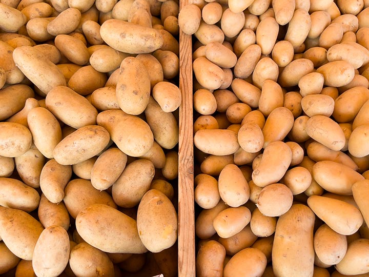 Wochenmarkt Bornheim Mitte Kartoffel, Süßkartoffel, Zwiebel, Knoblauch, Meerrettich und Kurkuma