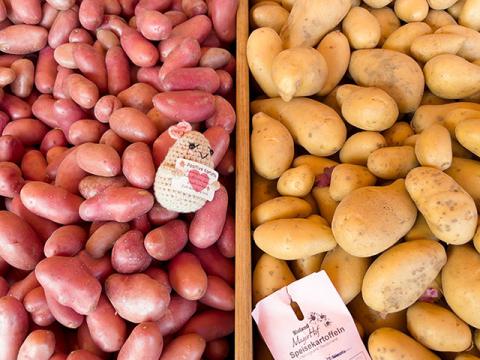 Wochenmarkt Bornheim Mitte frische Kartoffel, Süßkartoffel, Zwiebel, Knoblauch, Meerrettich und Kurkuma
