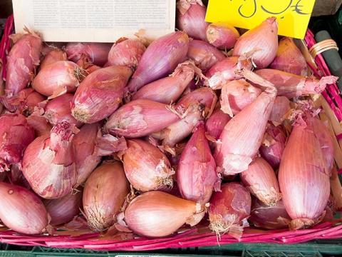 Wochenmarkt Bornheim Mitte frische Kartoffel, Süßkartoffel, Zwiebel, Knoblauch, Meerrettich und Kurkuma